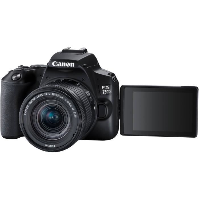 CANON 250D Appareil photo Reflex + Objectif 18-55 IS STM - Noir