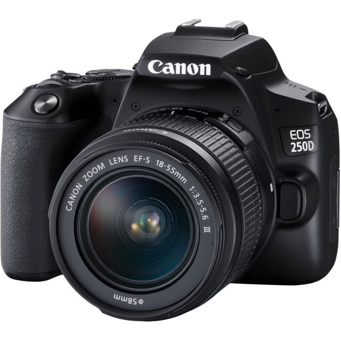 CANON 250D Appareil photo Reflex + Objectif 18-55 IS STM - Noir